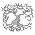 Celtic Tree of Life Royalty Free Stock Photo