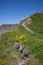 Cemaes Bay