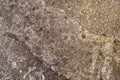 Cement background texture