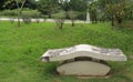 A cement bench at Botanical Garden..outdoor concept Royalty Free Stock Photo