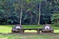 Cement benches and table for picnic in the middle of the garden. Deep forest in the background. Sao Paulo Botanical Garden