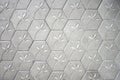 Cement block floor flower pattern background. Royalty Free Stock Photo