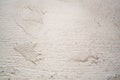 Grey tone beton concrete cement backdrop Royalty Free Stock Photo