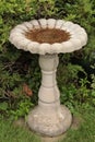 cement concrete gray birdbath with bush behind and no birds in it, portrait. p