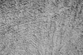 Cement and concrete texture for pattern abstract background.Grunge wall texture. Royalty Free Stock Photo