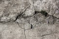 Cement crack and grass Royalty Free Stock Photo