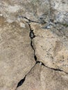 Cement cracks in the yard.