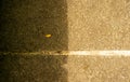 Cement floor in the garden in two different sunlight lighting