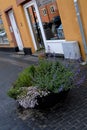 Cement flower containers for street decoration in Kastrup Royalty Free Stock Photo