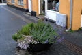 Cement flower containers for street decoration in Kastrup Royalty Free Stock Photo