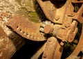 Cement Gearing Rusty Royalty Free Stock Photo