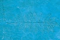 Cement imprint with plant imprint,blue tint Royalty Free Stock Photo