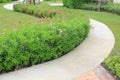 Cement path walkway with Oleander rose bay and Coromandel blooming flower beside in the garden