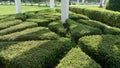 Cement pathways in garden have flowers