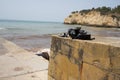 cement pier at Praia dos TremoÃÂ§os or lupines at ArmaÃÂ§ÃÂ£o de Pera