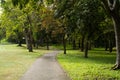 The cement road to the golf course is surrounded by trees, used for walking and providing golf carts