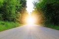 Cement roads, free space and green trees on both sides of the tropical forest