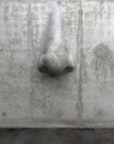 Cement sculpture in the shape of a human nose on a concrete wall. Creative conceptual modern art with copy space. 3D rendering