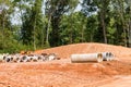 Cement Sewer Pipes at Construction Site