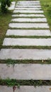 Cement sheet Long arranged in a pathway in the garden Royalty Free Stock Photo
