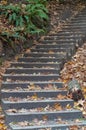 Cement staircase leading up a walkway through the park. Close up outdoor view of a concrete staircase in autumn park