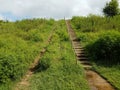 Cement staircase or steps or stairs and path or trail up a grass slope Royalty Free Stock Photo