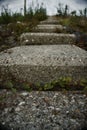 Cement stairs with small vines growing in cracks Royalty Free Stock Photo