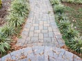 Cement steps and brick path with leaves and grasses Royalty Free Stock Photo