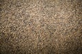 Cement with stone flakes background Royalty Free Stock Photo