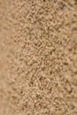 Cement stucco background texture and wallpaper, wall Royalty Free Stock Photo