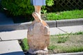 Cement Turtle Decorative Mailbox Stand Unique Royalty Free Stock Photo