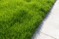 Cement walkway and green grass