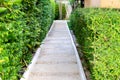 cement walkway in the green leaf garden Royalty Free Stock Photo