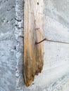 Cement wall corner with old wooden plank and two rusty nails. Side view of grunge wooden board on brickwork wall and nails.