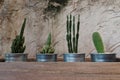 Cement wall decorative with cactus and rough wooden table. Have some space for write wording