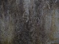 cement wall gray color. Royalty Free Stock Photo