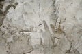 Cement wall texture