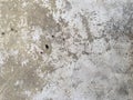 Cement Wall texture detail Background