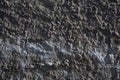 Cement wall texture dirty rough grunge. Vintage, industry. Royalty Free Stock Photo