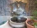 Cement water fountain with lion and garden hose