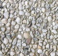 Cemented pebbles texture Royalty Free Stock Photo