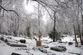 Cementery in the snow