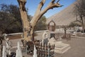 Cemetery in the Atacama Desert, Chile Royalty Free Stock Photo