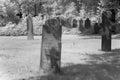 Cemetery in black and white infrared light in Hoogeveen