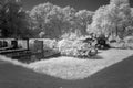 Cemetery in black and white infrared light in Hoogeveen