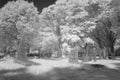 Cemetery in black and white infrared light in Hoogeveen