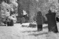 Cemetery in black and white infrared light in Hoogeveen