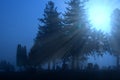 Cemetery in blue fog