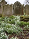 Cemetery in Burwell