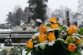 Cemetery covered by snow in winter. Slovakia Royalty Free Stock Photo